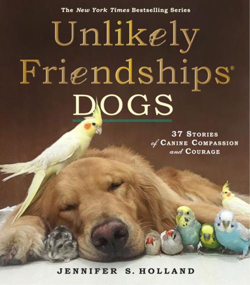 Cover of the book Unlikely Friendships: Dogs by Jennifer S. Holland, Workman Publishing Company