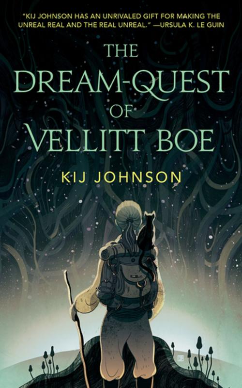 Cover of the book The Dream-Quest of Vellitt Boe by Kij Johnson, Tom Doherty Associates