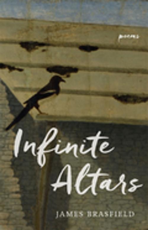 Cover of the book Infinite Altars by James Brasfield, LSU Press