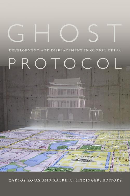 Cover of the book Ghost Protocol by , Duke University Press