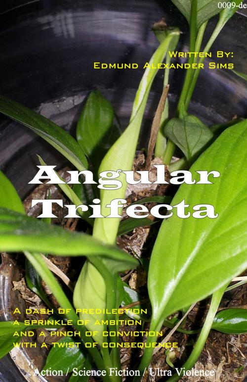 Cover of the book Angular Trifecta by Edmund Alexander Sims, Dope Enterprises