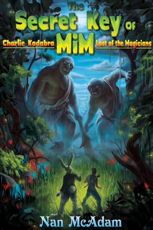 Cover of the book The Secret Key of Mim by Nan McAdam, Nan McAdam