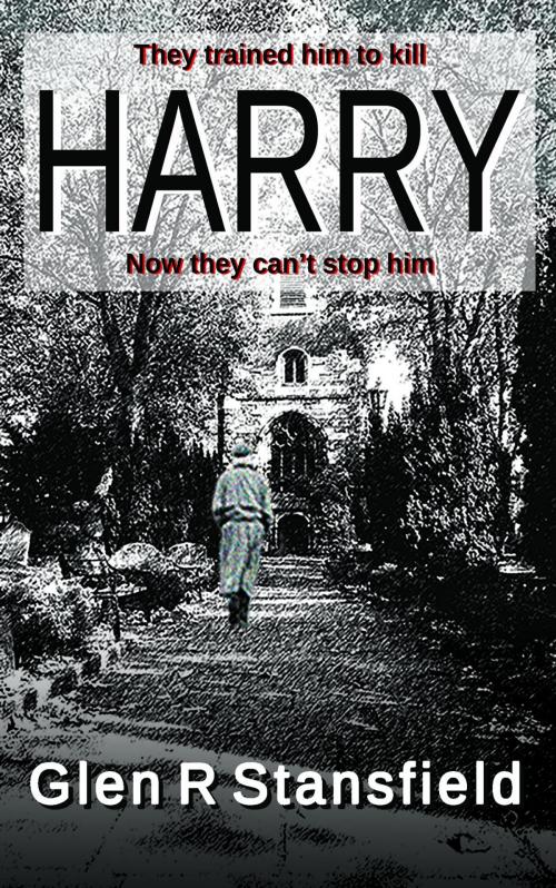 Cover of the book Harry by Glen R Stansfield, The Man in a Hat