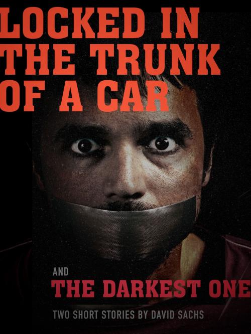 Cover of the book Locked in the Trunk of a Car & The Darkest One: A short story duo by David Sachs, Back Door Chucks
