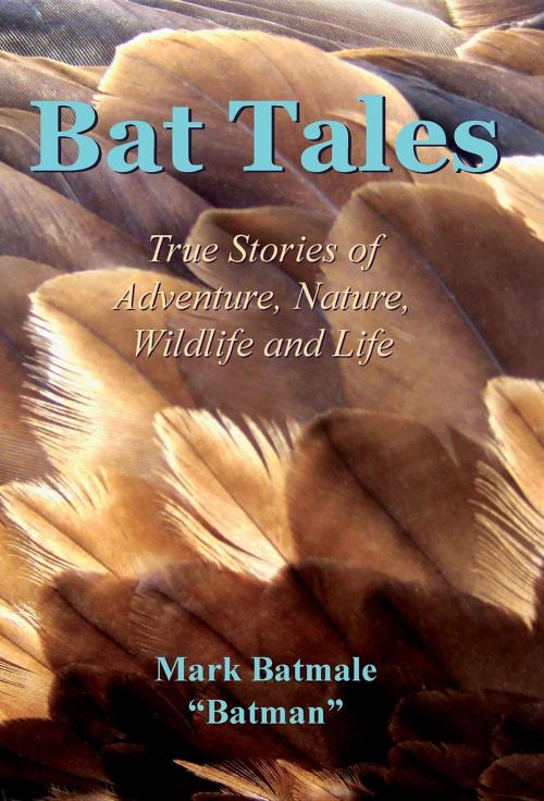 Cover of the book Bat Tales by Mark Batmale, Mark Batmale