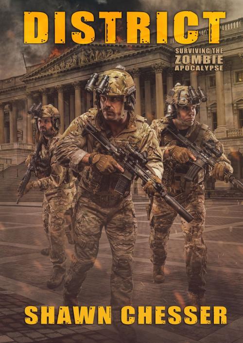 Cover of the book District: Surviving the Zombie Apocalypse by Shawn Chesser, Shawn Chesser