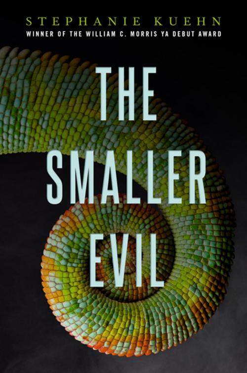 Cover of the book The Smaller Evil by Stephanie Kuehn, Penguin Young Readers Group