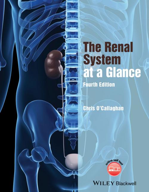 Cover of the book The Renal System at a Glance by Christopher O'Callaghan, Wiley