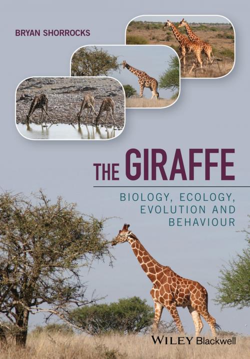 Cover of the book The Giraffe by Bryan Shorrocks, Wiley