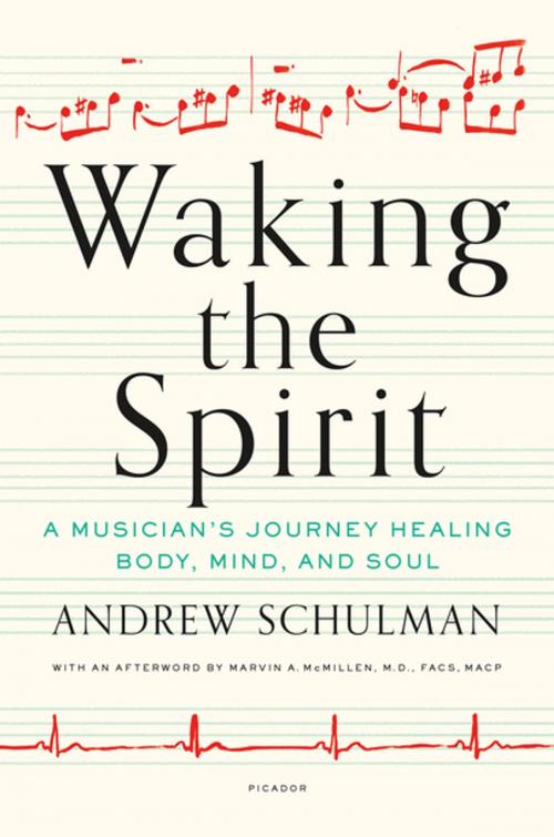 Cover of the book Waking the Spirit by Andrew Schulman, Marvin A. McMillen, Dr., M.D., FACS, MACP, Picador