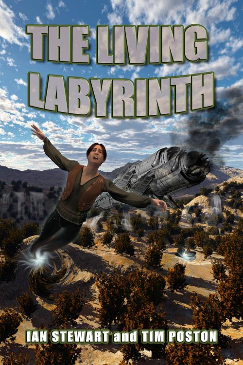 Cover of the book The Living Labyrinth by Ian Stewart, Tim Poston, ReAnimus Press