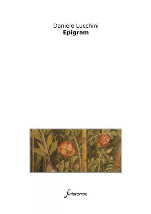Cover of the book Epigram by Daniele Lucchini, Finisterrae
