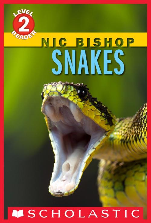 Cover of the book Snakes (Scholastic Reader, Level 2) by Nic Bishop, Scholastic Inc.