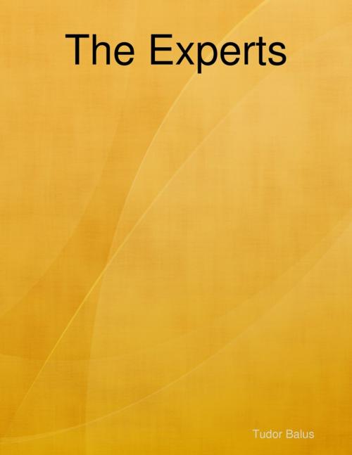 Cover of the book The Experts by Tudor Balus, Lulu.com