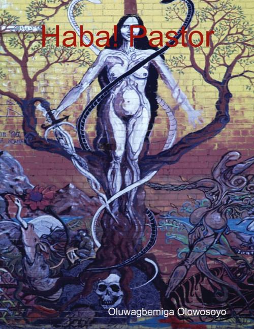 Cover of the book Haba! Pastor by Oluwagbemiga Olowosoyo, Lulu.com