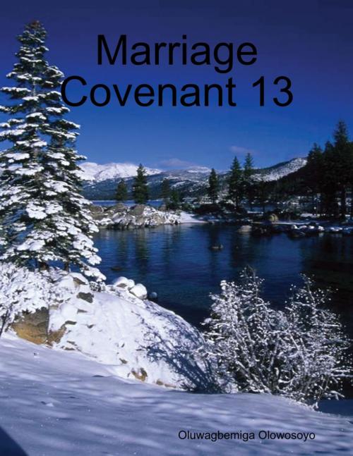 Cover of the book Marriage Covenant 13 by Oluwagbemiga Olowosoyo, Lulu.com