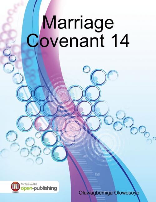 Cover of the book Marriage Covenant 14 by Oluwagbemiga Olowosoyo, Lulu.com