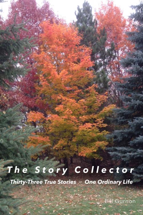 Cover of the book The Story Collector by Bill Gurnon, Bill Gurnon