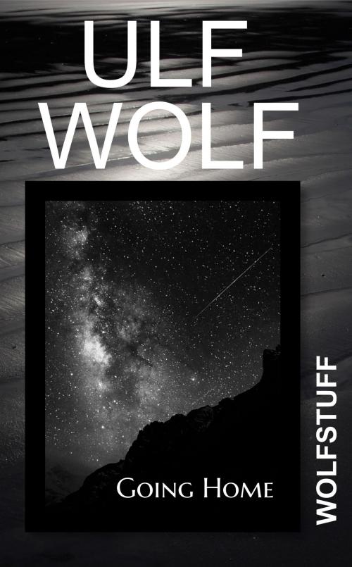 Cover of the book Going Home by Ulf Wolf, Ulf Wolf