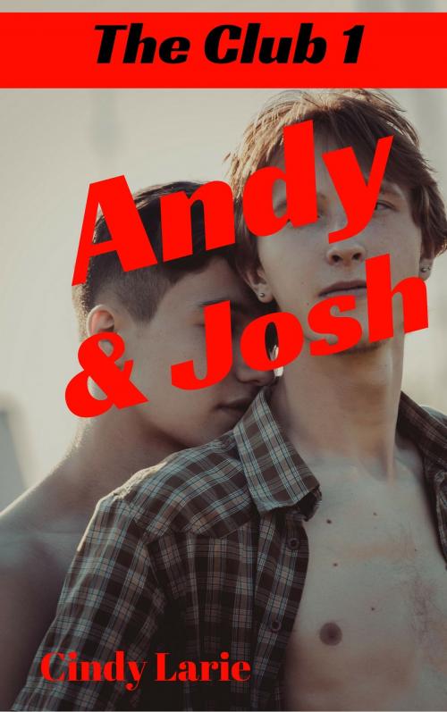 Cover of the book The Club: Andy & Josh by Cindy Larie, Cindy Larie