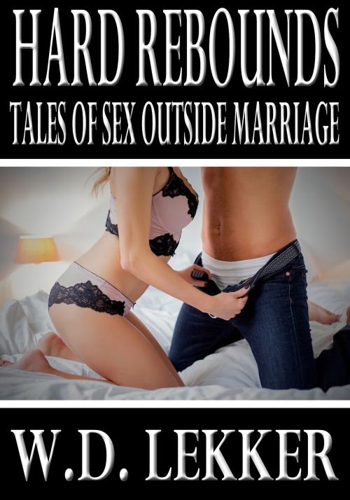 Cover of the book Hard Rebounds: Tales of Sex Outside Marriage by W.D. Lekker, SmutHouse