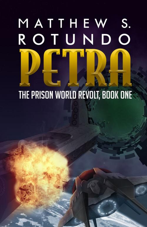 Cover of the book Petra by Matthew S. Rotundo, Matthew S. Rotundo