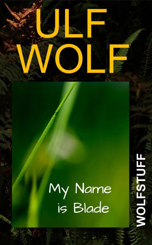 Cover of the book My Name is Blade by Ulf Wolf, Ulf Wolf