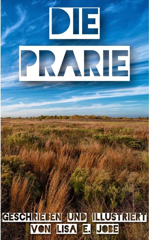 Cover of the book Die Prärie by Lisa E. Jobe, Lisa E. Jobe