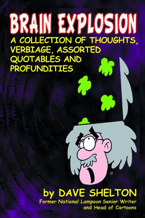 Cover of the book Brain Explosion: A Collection of Thoughts, Verbiage, Assorted Quotables and Profundities by Dave Shelton, BearManor Media
