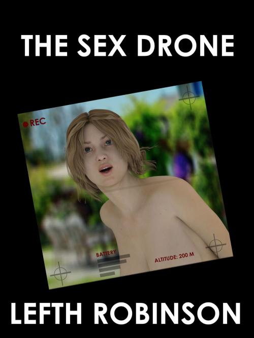 Cover of the book The Sex Drone by Lefth Robinson, Lefth Robinson