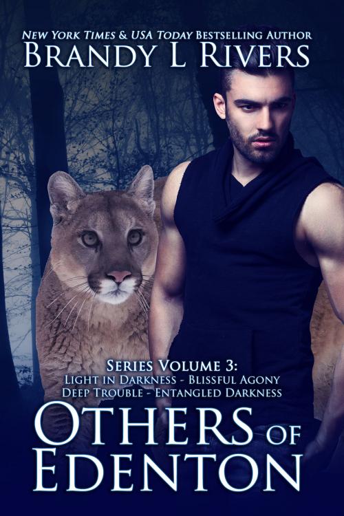 Cover of the book Others of Edenton by Brandy L Rivers, Brandy L Rivers