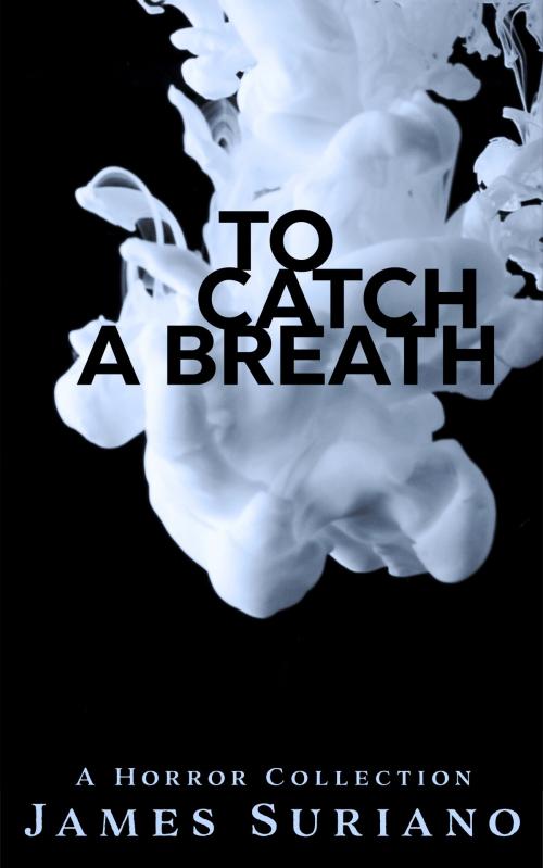 Cover of the book To Catch A Breath by James Suriano, James Suriano