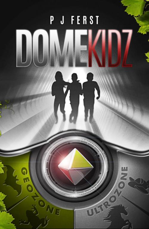Cover of the book Domekidz by P J Ferst, P J Ferst