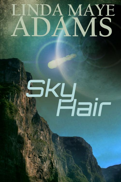 Cover of the book Sky Hair by Linda Maye Adams, Linda Maye Adams