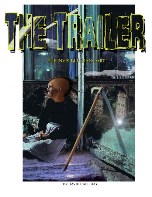 Cover of the book The Trailer by David Halliday, David Halliday