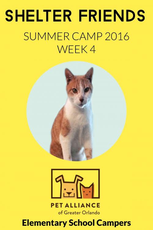Cover of the book Shelter Friends Summer Camp 2016: Week 4 by Elementary School Campers, Pet Alliance of Greater Orlando