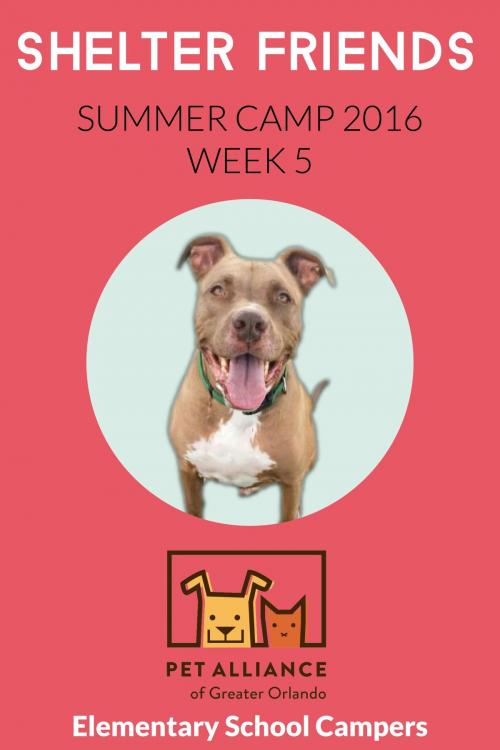 Cover of the book Shelter Friends Summer Camp 2016: Week 5 by Elementary School Campers, Pet Alliance of Greater Orlando