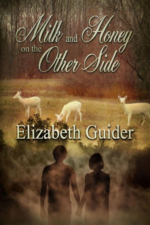 Cover of the book Milk and Honey on the Other Side by Elizabeth Guider, Foundations Book Publishing Company