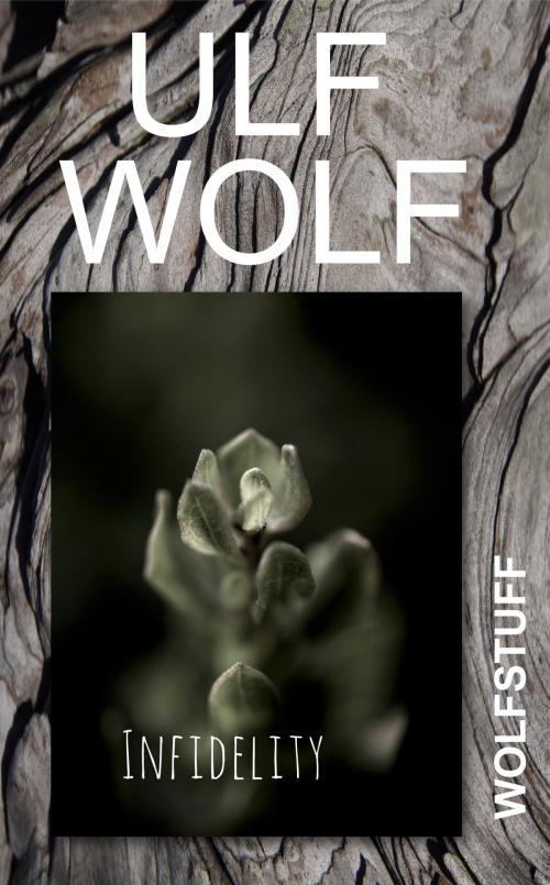 Cover of the book Infidelity by Ulf Wolf, Ulf Wolf