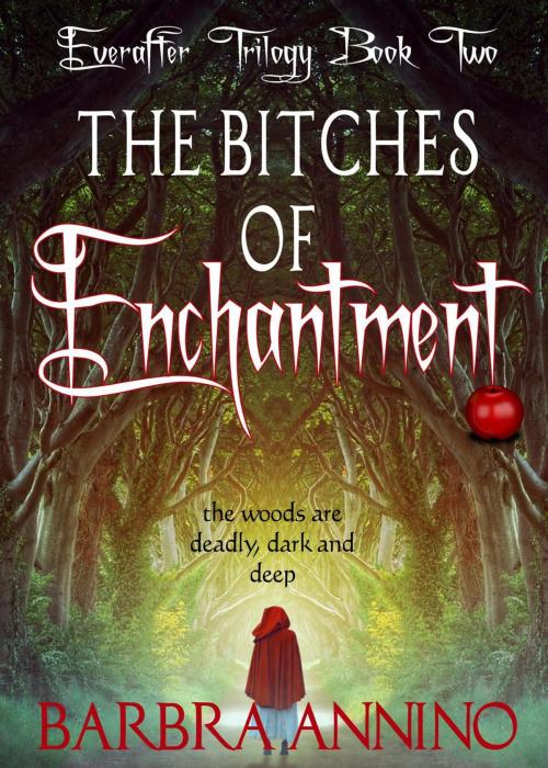 Cover of the book The Bitches of Enchantment - A Dark Princess Fairy Tale by Barbra Annino, Dane House LLC