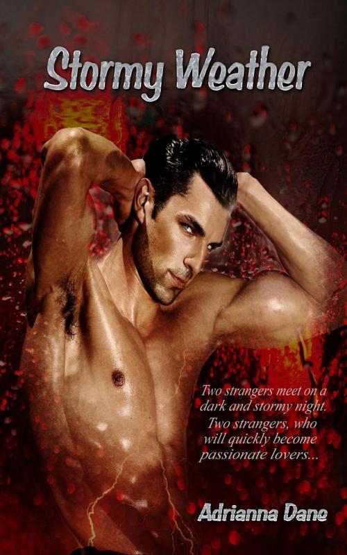 Cover of the book Stormy Weather by Adrianna Dane, Dream Romantic Unlimited LLC