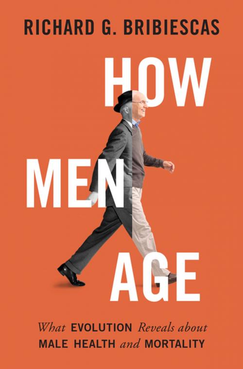 Cover of the book How Men Age by Richard Bribiescas, Princeton University Press