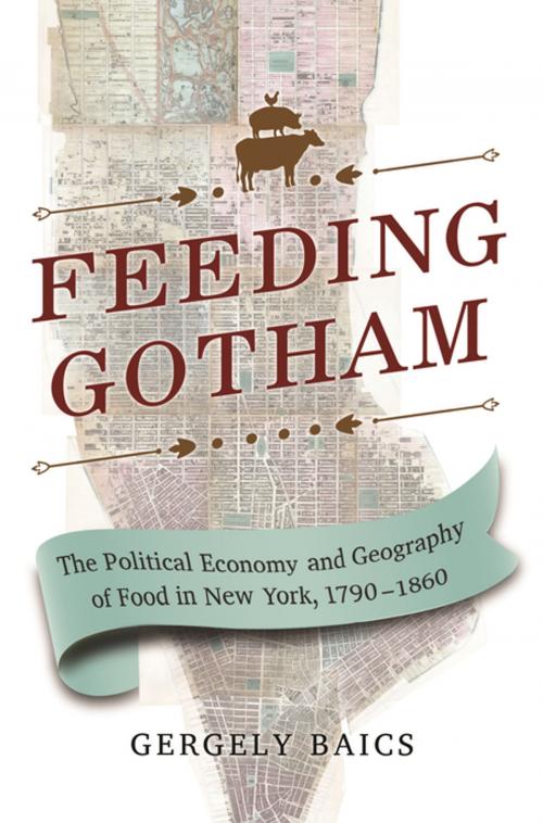 Cover of the book Feeding Gotham by Gergely Baics, Princeton University Press