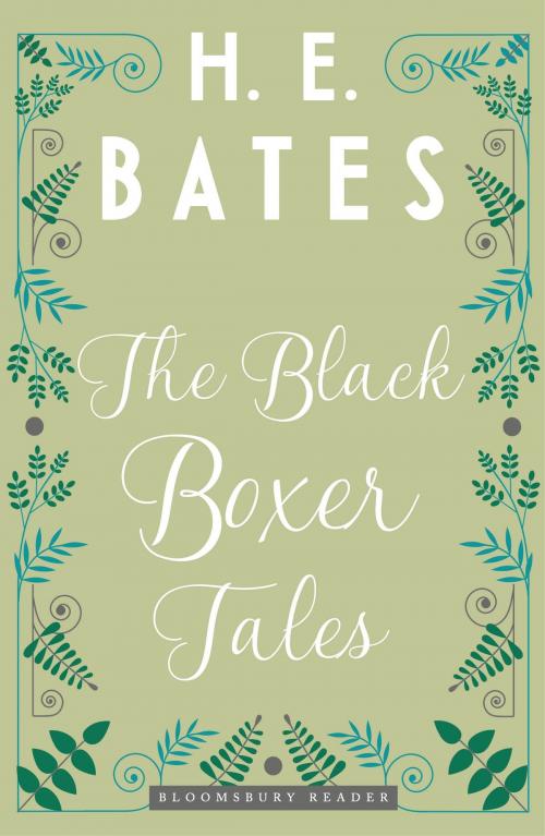 Cover of the book The Black Boxer Tales by H.E. Bates, Bloomsbury Publishing