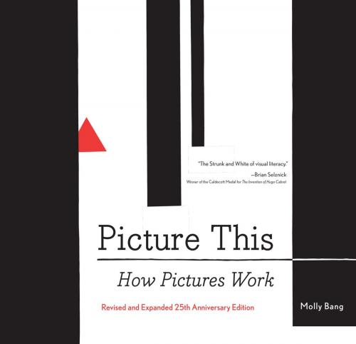 Cover of the book Picture This by , Chronicle Books LLC