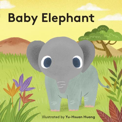 Cover of the book Baby Elephant by Yu-hsuan Huang, Chronicle Books LLC