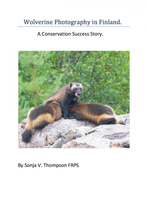 Cover of the book Wolverine Photography in Finland: A Conservation Success Story by Sonja V. Thompson FRPS, eBookIt.com