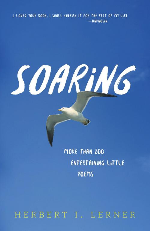 Cover of the book Soaring by Herbert I. Lerner, FriesenPress