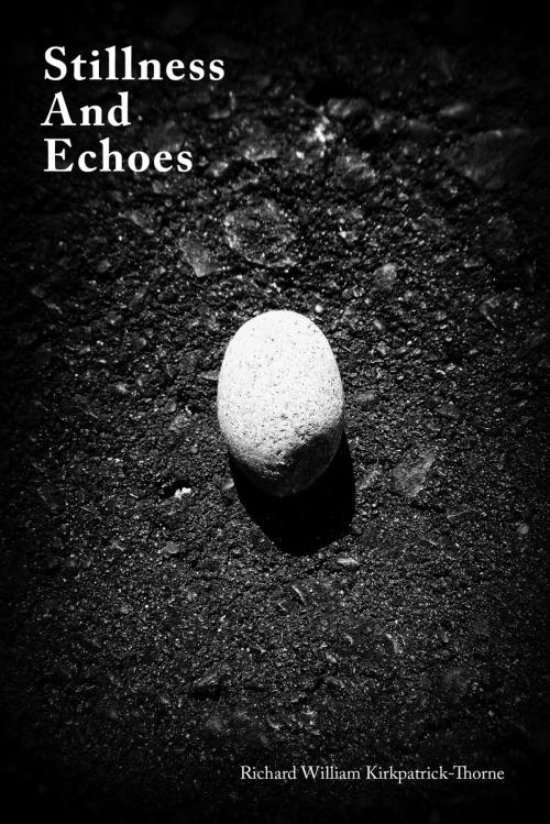 Cover of the book Stillness And Echoes by Richard William Kirkpatrick-Thorne, FriesenPress