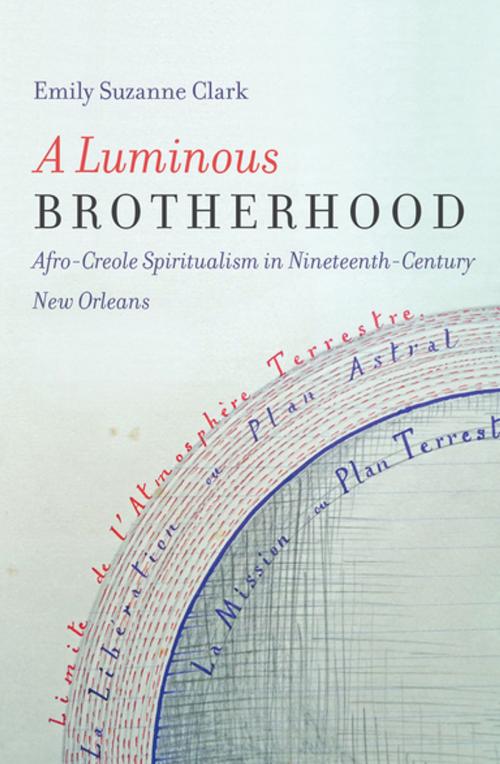 Cover of the book A Luminous Brotherhood by Emily Suzanne Clark, The University of North Carolina Press